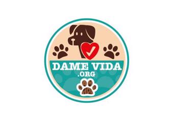 Conoce a la fundación Organizacion Dame Vida